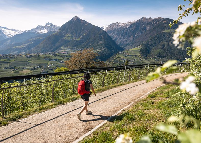 -c-tourismusverein-schenna-roter-rucksack-3